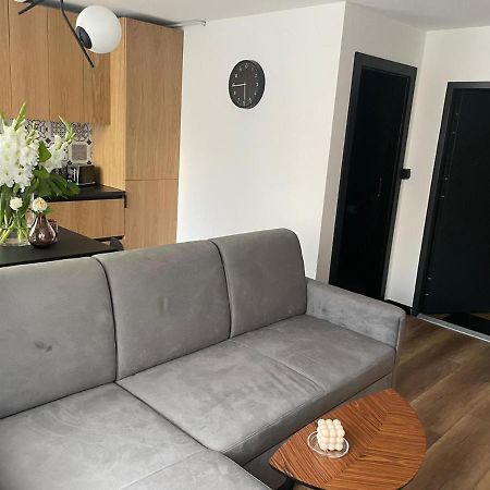Apartamenty Nadrzeczna 14 Карпач Экстерьер фото