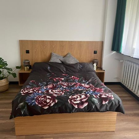 Apartamenty Nadrzeczna 14 Карпач Экстерьер фото