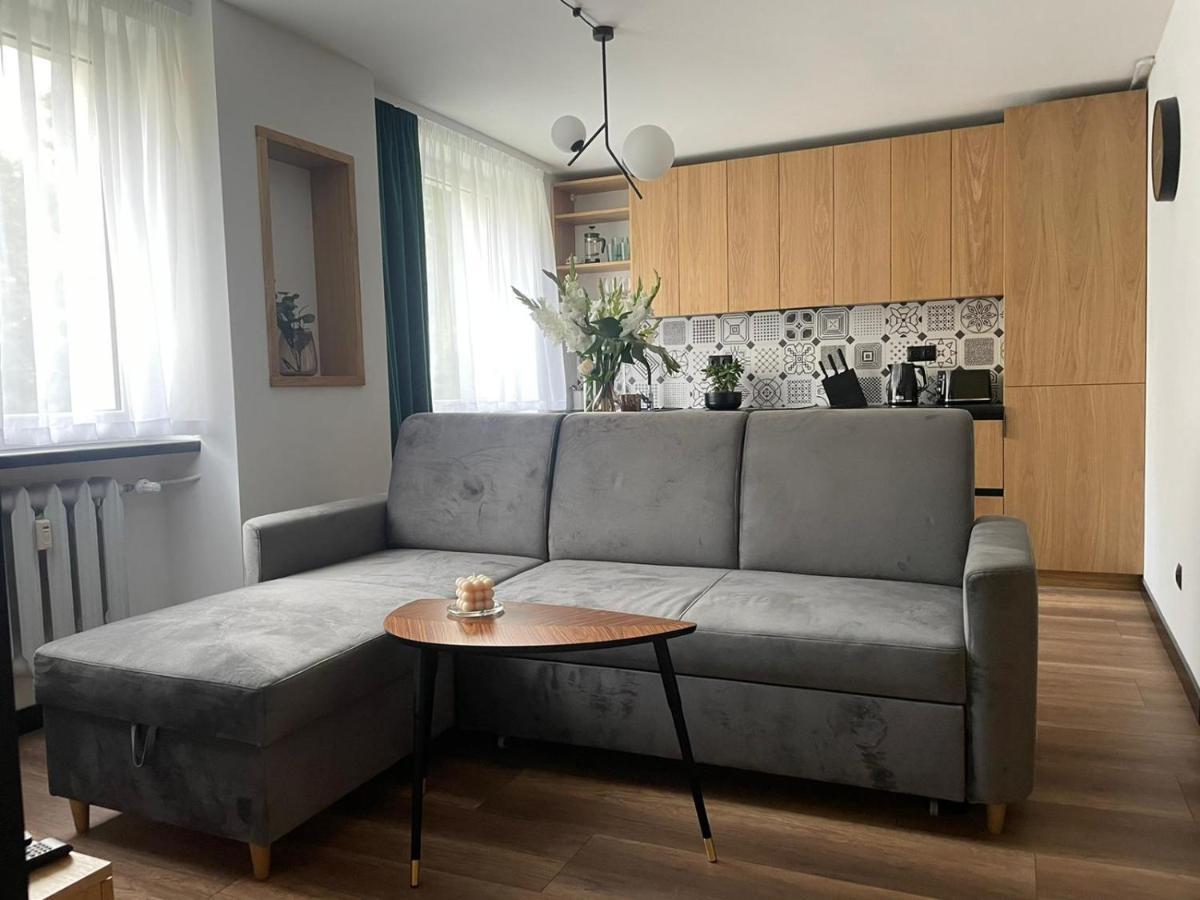 Apartamenty Nadrzeczna 14 Карпач Экстерьер фото